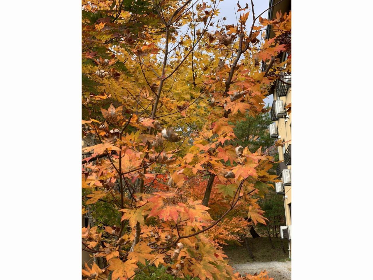 ホテルZao Shikitei 白石市 エクステリア 写真
